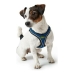 Λουρί Σκύλου Hunter Hilo-Comfort Μπλε Μέγεθος S/M (48-55 cm)