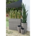 Plantador Home ESPRIT Polipropileno Rotim 83 x 22 x 65 cm