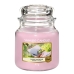 Lõhnastatud küünal Yankee Candle 411 g Sunny Daydream