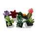 Bouwspel Lego Succulent 10309 771 Onderdelen Multicolour