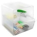 Multifunktionel organizer Archivo 2000 Gennemsigtig 19 x 15 x 15 cm