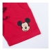 Riiete komplekt Mickey Mouse Hall