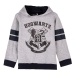 Bluza z kapturem Dziecięca Harry Potter Szary