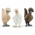 Conjunto Animais de Quinta Schleich Chicken Friends Plástico