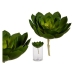 Декоративно Растение Зелен Пластмаса