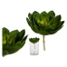 Pianta Decorativa Ibergarden YD180138 Plastica