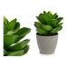 Decoratieve plant Grijs 16 x 21 x 16 cm Groen Plastic