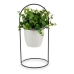 Decoratieve plant Wit Met steun Zwart Metaal Groen Plastic 21 x 30 x 21 cm