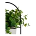 Decoratieve plant Wit Met steun Zwart Metaal Groen Plastic 21 x 30 x 21 cm