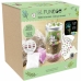 Set de cultivare Sycomore CFUN197