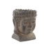 Kasvit DKD Home Decor 26 x 25 x 30 cm Lasikuitu Buddha