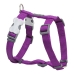 Arnês para Cães Red Dingo Liso 30-48 cm Roxo