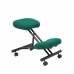 Scaun ergonomic Mahora P&C BALI426 Verde