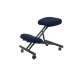 Scaun ergonomic Mahora P&C BALI200 Bleumarin