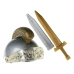 Set Kostuumaccessoires Gouden Romein