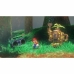 Switch vaizdo žaidimas Nintendo Super Mario Odyssey