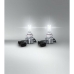 Autopolttimo Osram LEDriving HL H10 HIR1 HB3 19 W 12 V 6000 K