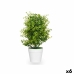 Decoratieve plant Plastic Groot (6 Stuks)