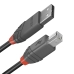 Kabel USB A v USB B LINDY 36670 20 cm Črna