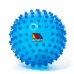 Sensorinen pallo Moltó 20 cm Sininen