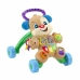 Cadru de mers cu roți Fisher Price Sunet Câine Lumini Multilimbaj