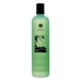 Gel de Ducha Shunga Sensual Menta (500 ml) Menta