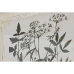 Картина Home ESPRIT Shabby Chic Ботанически растения 40 x 1,5 x 50 cm (6 броя)