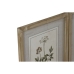 Malba Home ESPRIT Shabby Chic Botanické rostliny 30 x 2 x 40 cm (6 kusů)