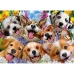 Puzzel Educa Doggy selfie 1000 Onderdelen