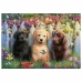 Puzzle Educa Doggies 100 Darabok