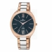 Horloge Dames Radiant RA420206