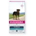 Foder Eukanuba Vuxen Kyckling Kalkon 12 kg