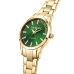 Pánske hodinky Trussardi R2453141505 zelená