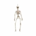 Decoração para Halloween My Other Me Branco 90 cm Esqueleto (1 Peça)