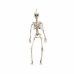 Halloween Decoraties My Other Me Wit 90 cm Skelet (1 Onderdelen)