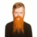 Valse baard My Other Me Oranje