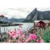 Puslespil Ravensburger 16740 Lofoten - Norway 1000 Dele