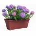 Plant pot Artevasi 77,9 x 24 x 22 cm Red Plastic