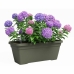 Bloempot Artevasi 77,9 x 24 x 22 cm Groen