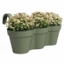 Bloempot Artevasi 54 x 30,5 x 28 cm Groen