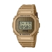 Мужские часы Casio DWE-5600HG-1ER