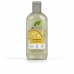 Shampoo Idratante Dr.Organic Vitamin E 265 ml