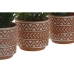 Decoratieve plant Home ESPRIT Polyethyleen Cement 12 x 12 x 17 cm (3 Stuks)