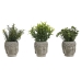 Decoratieve plant Home ESPRIT Polyethyleen Cement Boeddha 10 x 10 x 21 cm (3 Stuks)