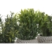 Decoratieve plant Home ESPRIT Polyethyleen Cement Boeddha 10 x 10 x 21 cm (3 Stuks)