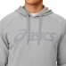 Herren Sweater mit Kapuze Asics Big Oth Grau