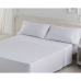 Top sheet Alexandra House Living White 170 x 270 cm