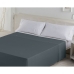 Lenzuolo Superiore Alexandra House Living Grigio 240 x 270 cm