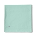 Drap Alexandra House Living Eau Vert clair 170 x 270 cm