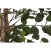 Arbre Home ESPRIT Polyéthylène Ficus 100 x 100 x 210 cm